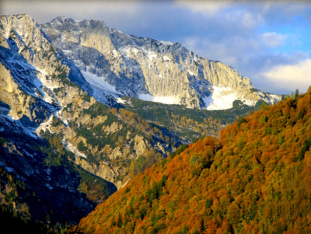 Buchenwälder, Bild: Nationalpark Kalkalpen/Mayrhofer