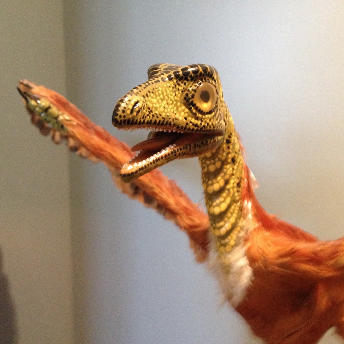 Archaeopteryx im Jura-Museum Eichstätt