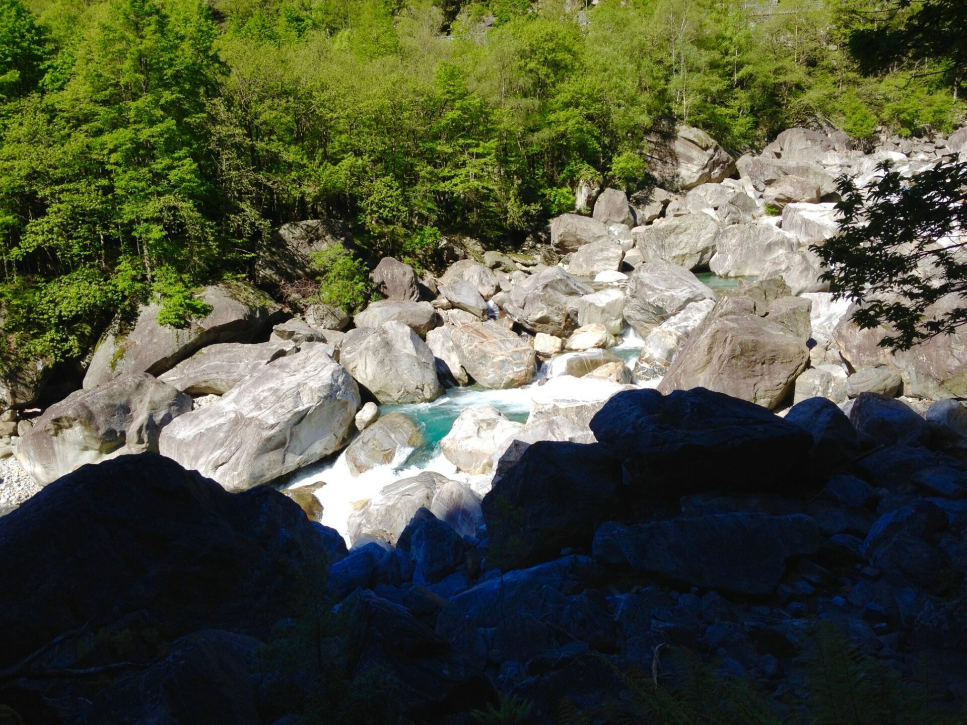 Wilder Fluss im unteren Verzasca-Tal
