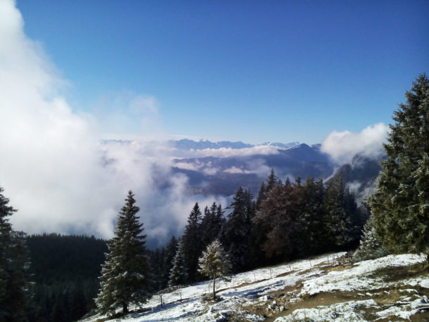 Nach dem Weidegatter › mehrberge.de