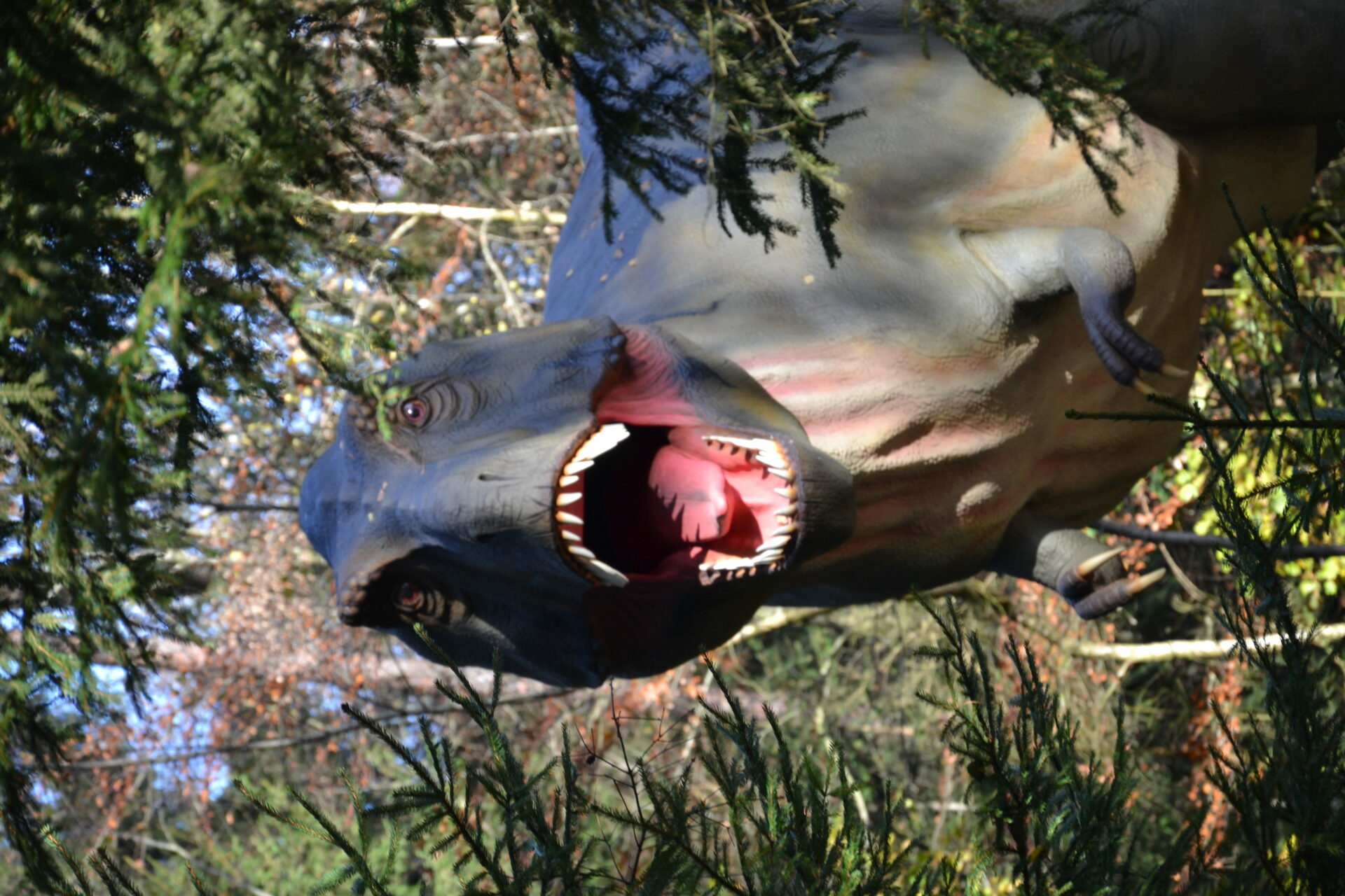 Der T-Rex im Dinopark Altmühltal