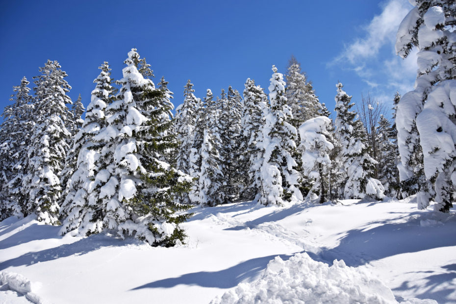 Pendling: Winterlandschaft