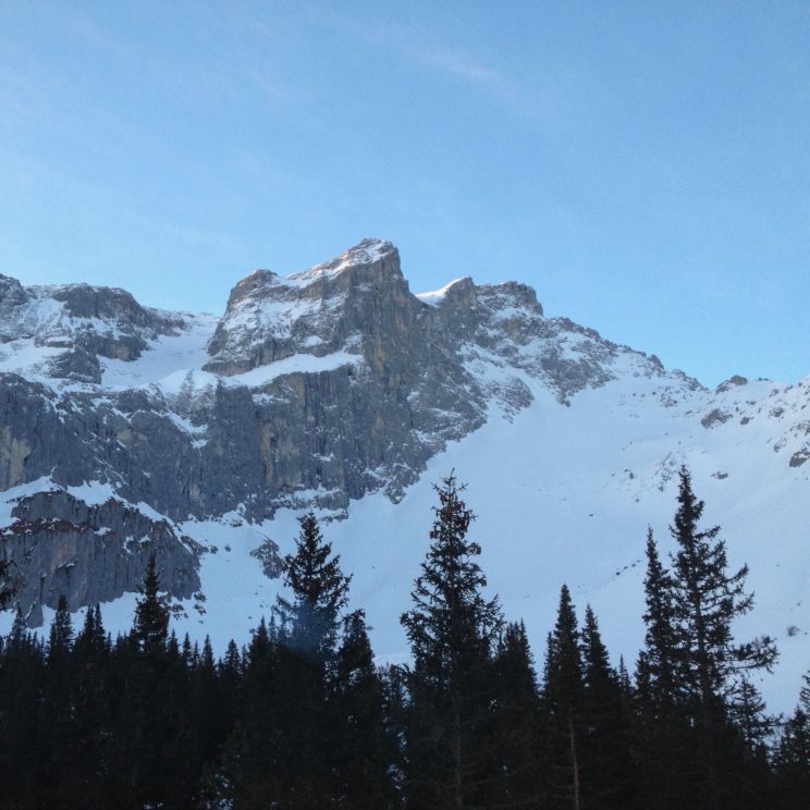 Skitouren um die Lindauer Hütte: Sulzfluh und Drusentor