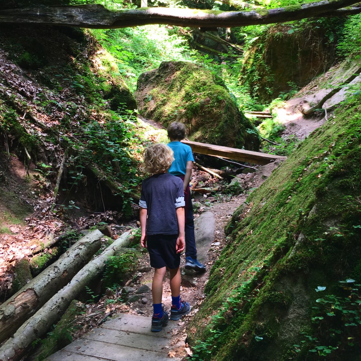 Die Massendorfer Schlucht bei Spalt