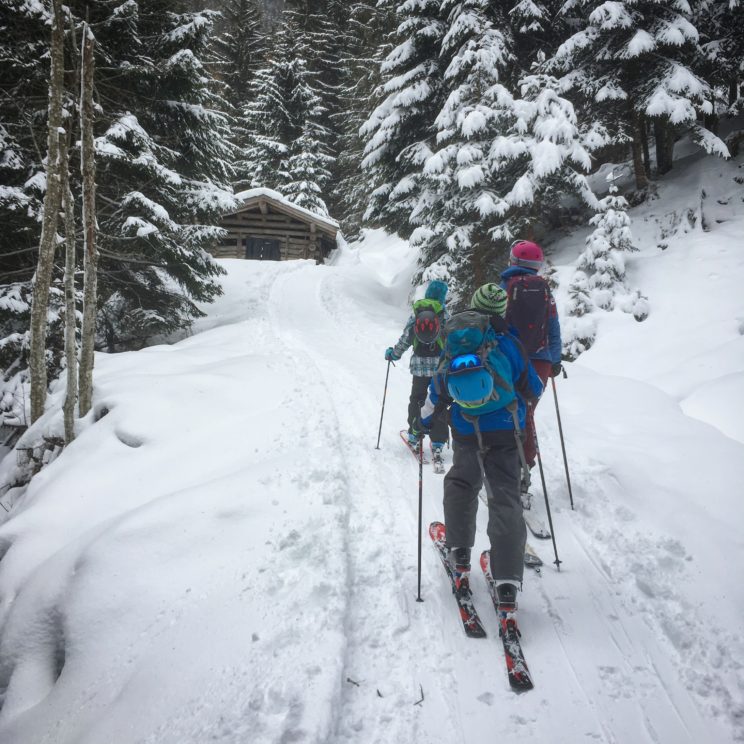 Auf Skitour mit Kindern: Durch den Wald ist spannender auf der Piste