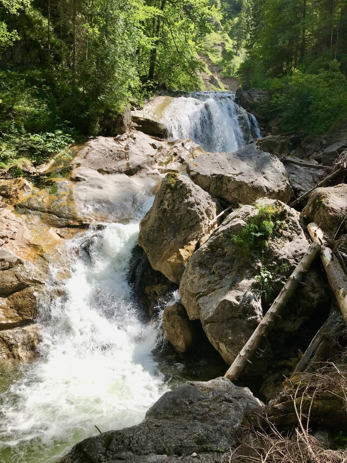 In der Pöllatschlucht unterhalb von Schloß Neuschwanstein