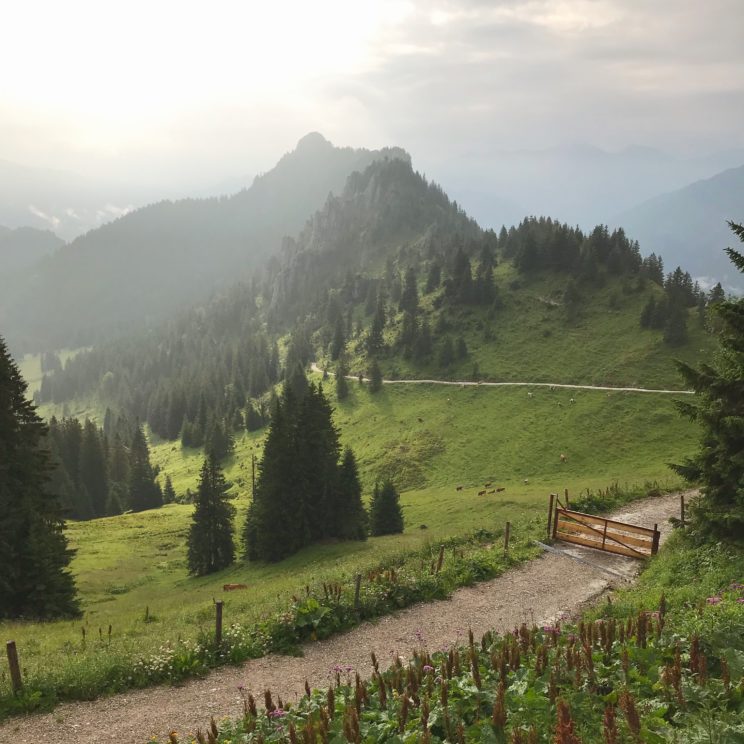 Gratwanderung in vier Tagen von Hohenschwangau/Schloß Neuschwanstein nach Oberammergau: Tegelberg, Kenzenhütte, Brunnenkopfhäuser, Pürschlinghaus,…