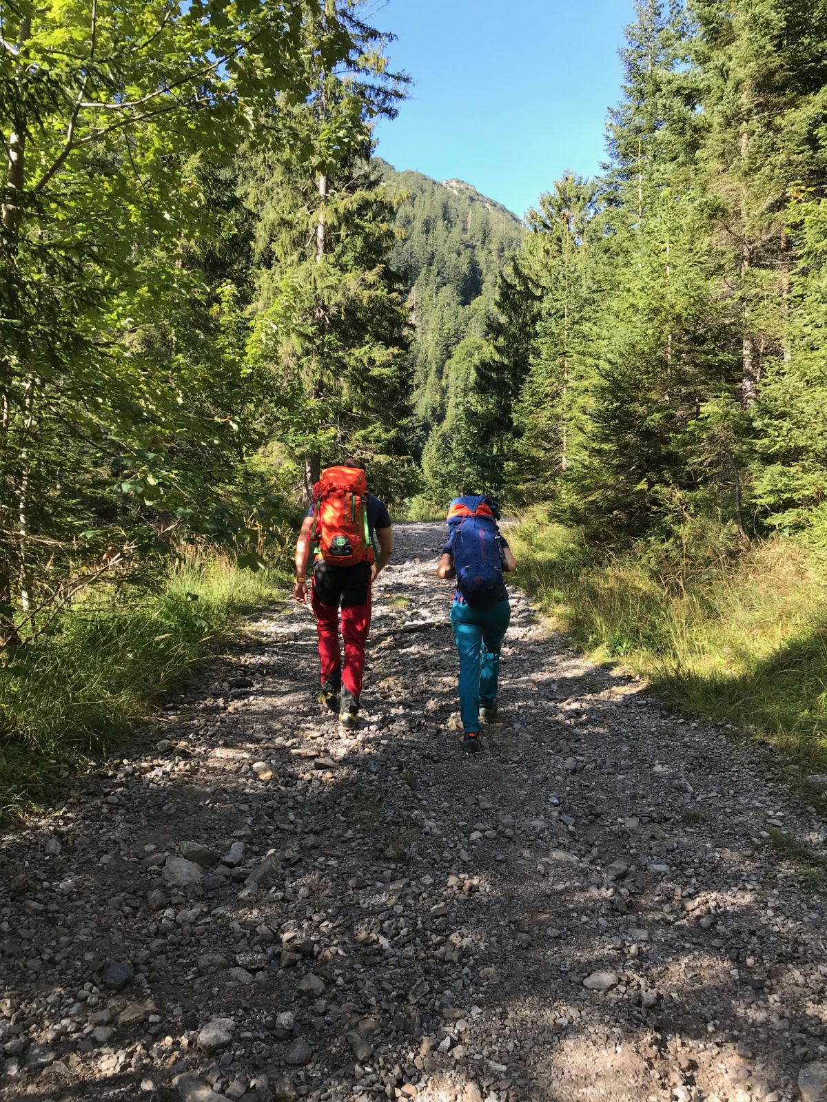 Durch das Jochbachtal zum Hornbachjoch