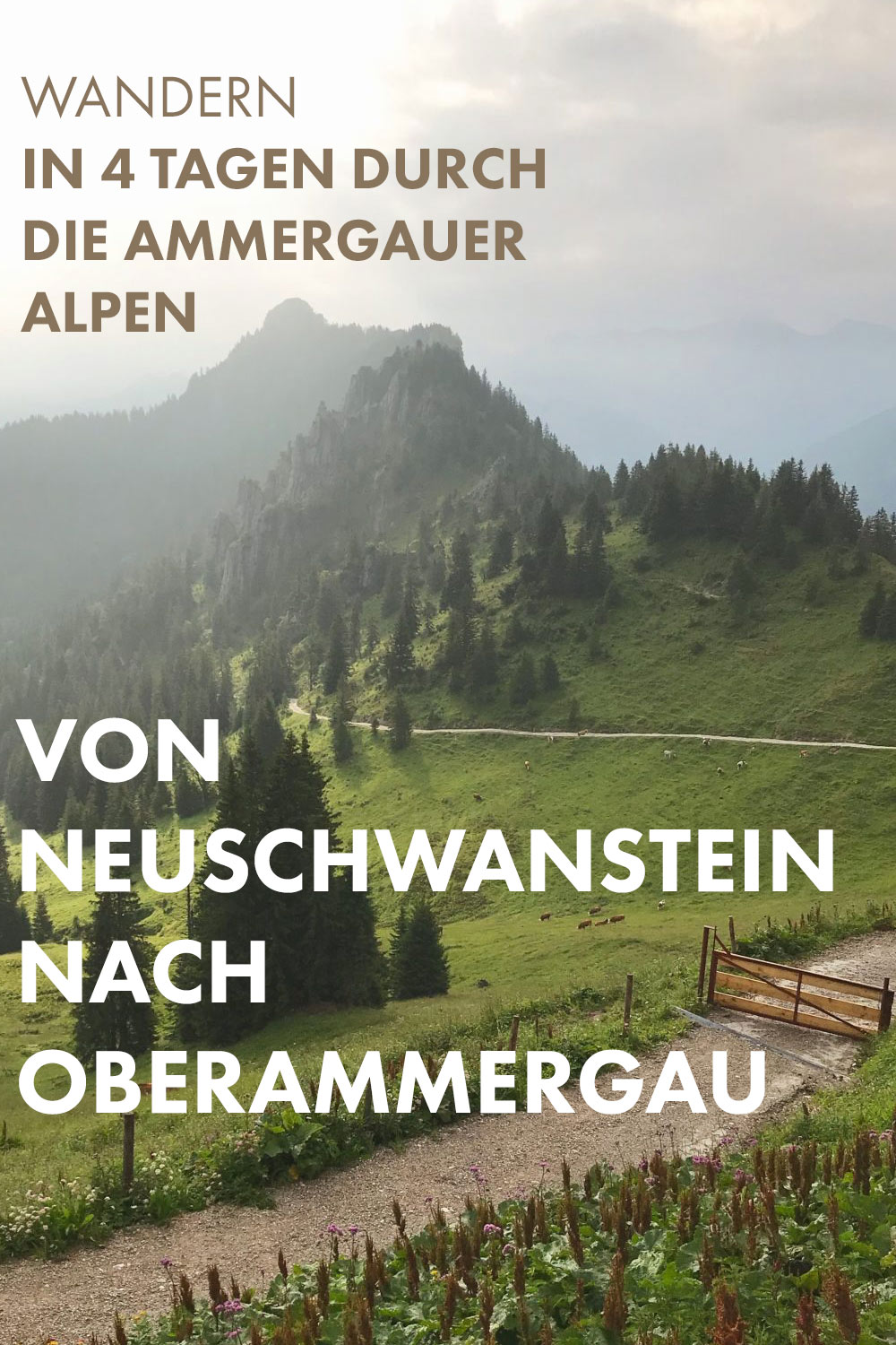 In vier Tagen durch die Ammergauer Alpen - von Neuschwanstein nach Oberammergau