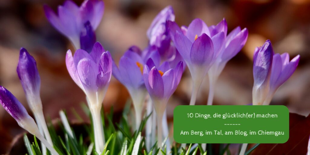 10 Dinge, die glücklich(er) machen – Folge 61 [enthält Werbung]
