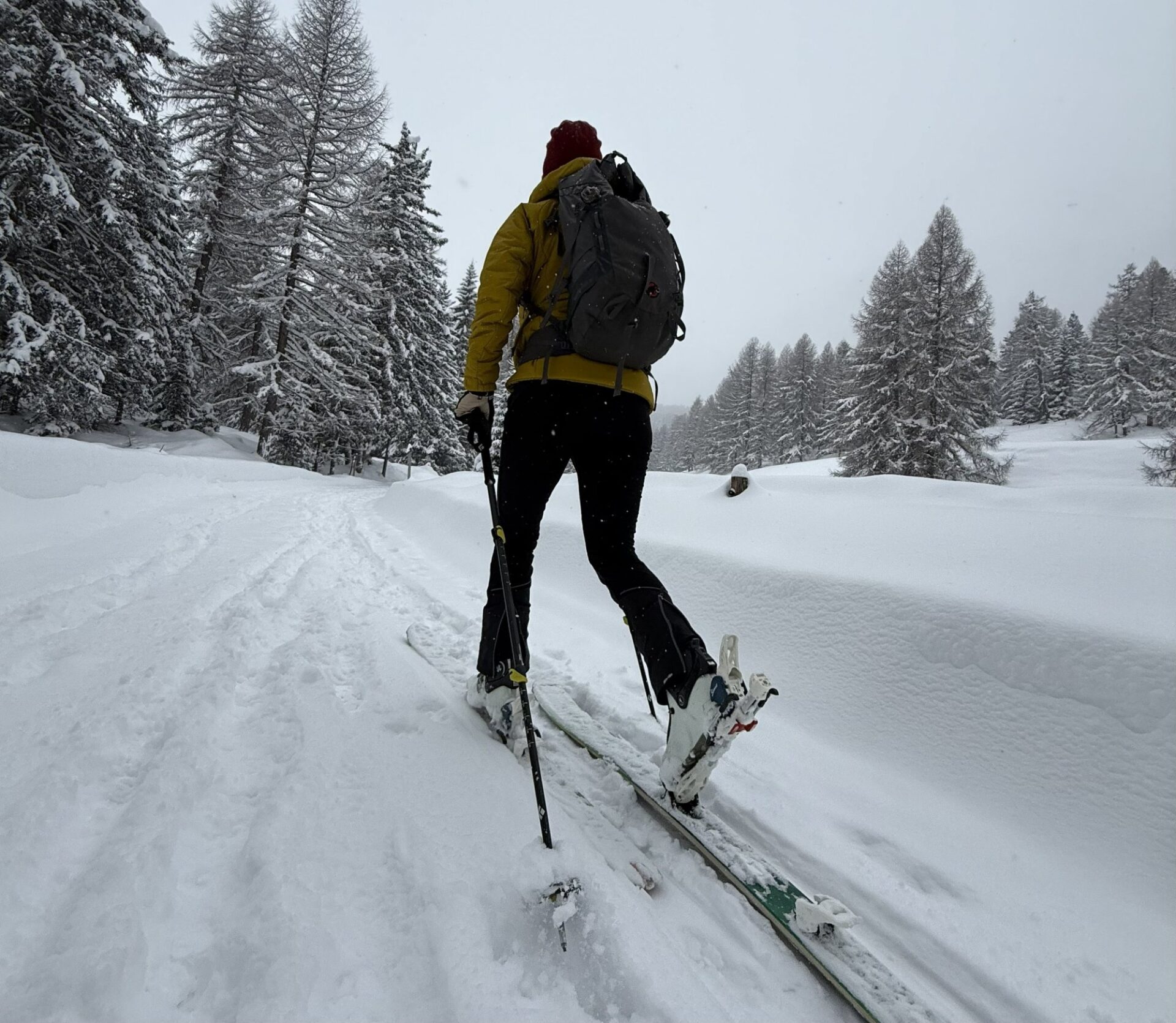 Montane Fortes XT Hoodie im Test