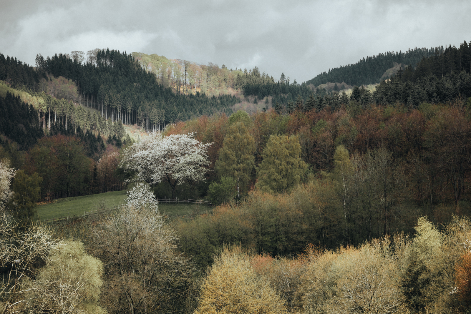 Wandern im Schmallenberger Sauerland: Tipps für den Frühling rund um Oberkirchen